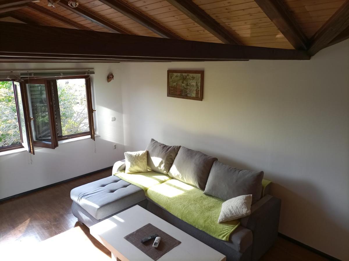 Apartments Ingrid Novigrad Istria Kültér fotó