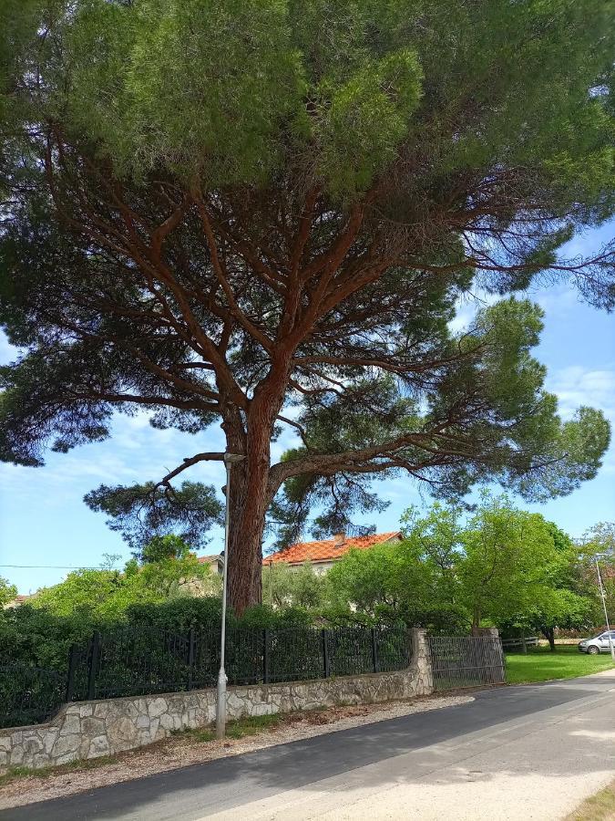 Apartments Ingrid Novigrad Istria Kültér fotó