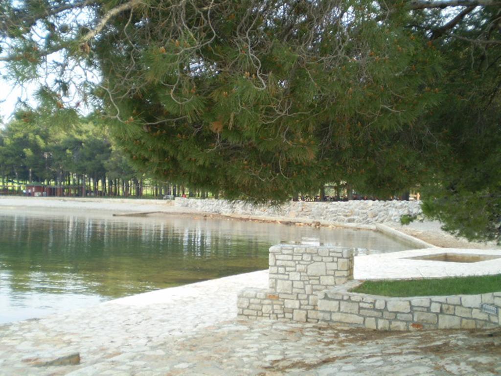Apartments Ingrid Novigrad Istria Kültér fotó