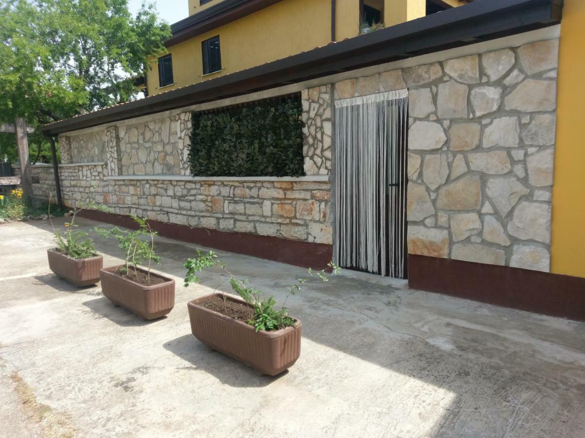 Apartments Ingrid Novigrad Istria Kültér fotó