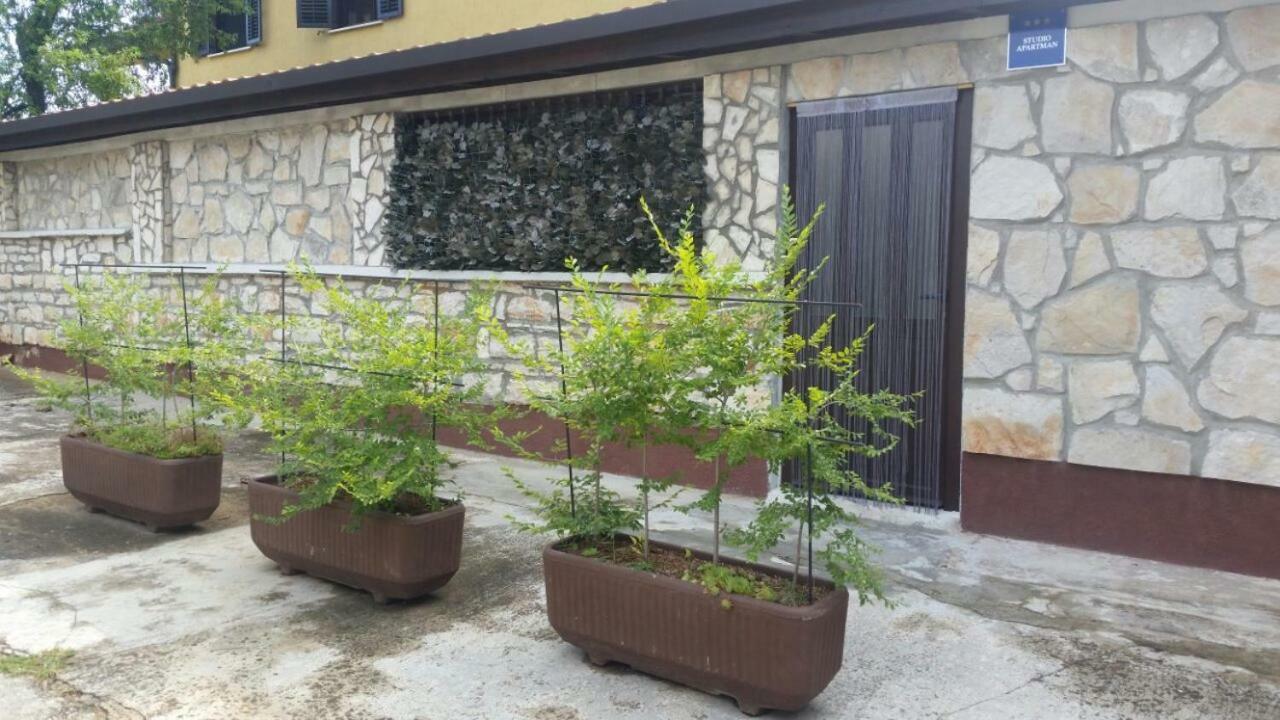 Apartments Ingrid Novigrad Istria Kültér fotó